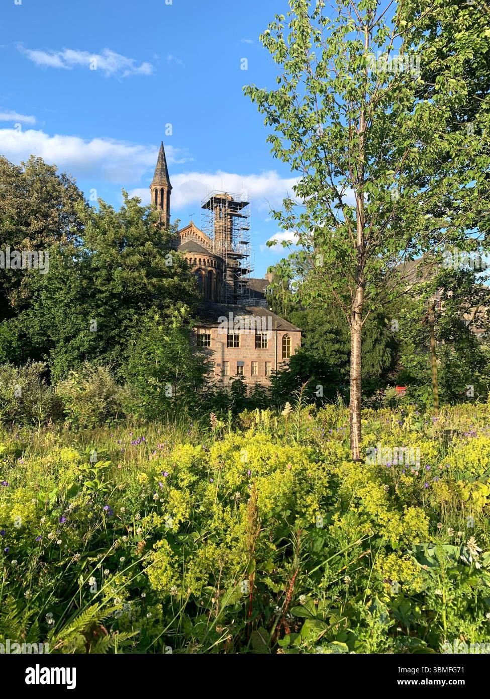 Aberdeen Scotland City Centre gardens garden Park sign signs grass tower building new style ornament Hotel stained glass window  walking people - Smartphone Captured Stock Image
