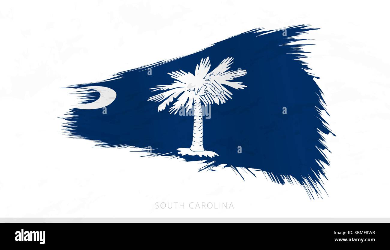 South Carolina National Flag with Textured Brush Strokes. Artistic ...