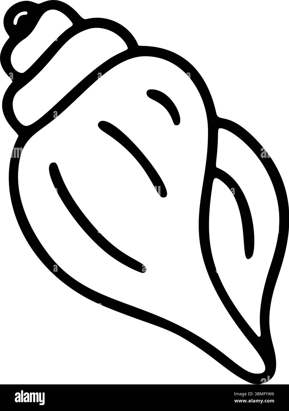 Seashell Vector Simple