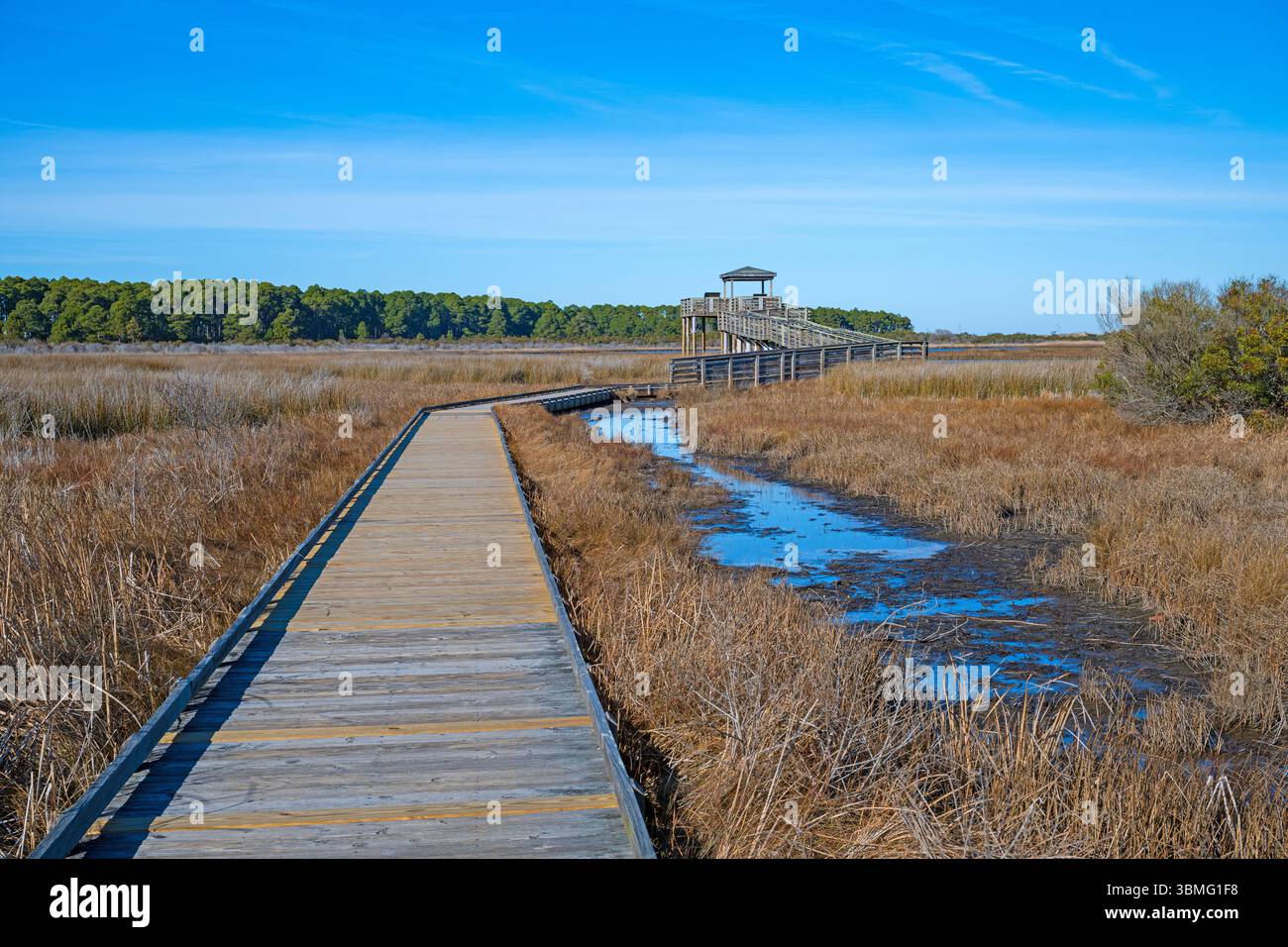 Boardwalk to a Wetland Observation Platform in the OuterBanks of
