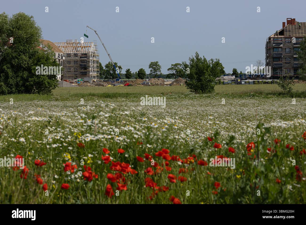 Modern low-rise residential housing development surrounded by green ...