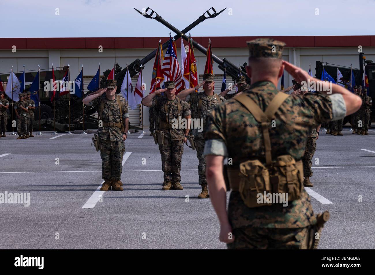 U.S. Marines salute U.S. Marine Corps Col. Peter Eltringham during the ...