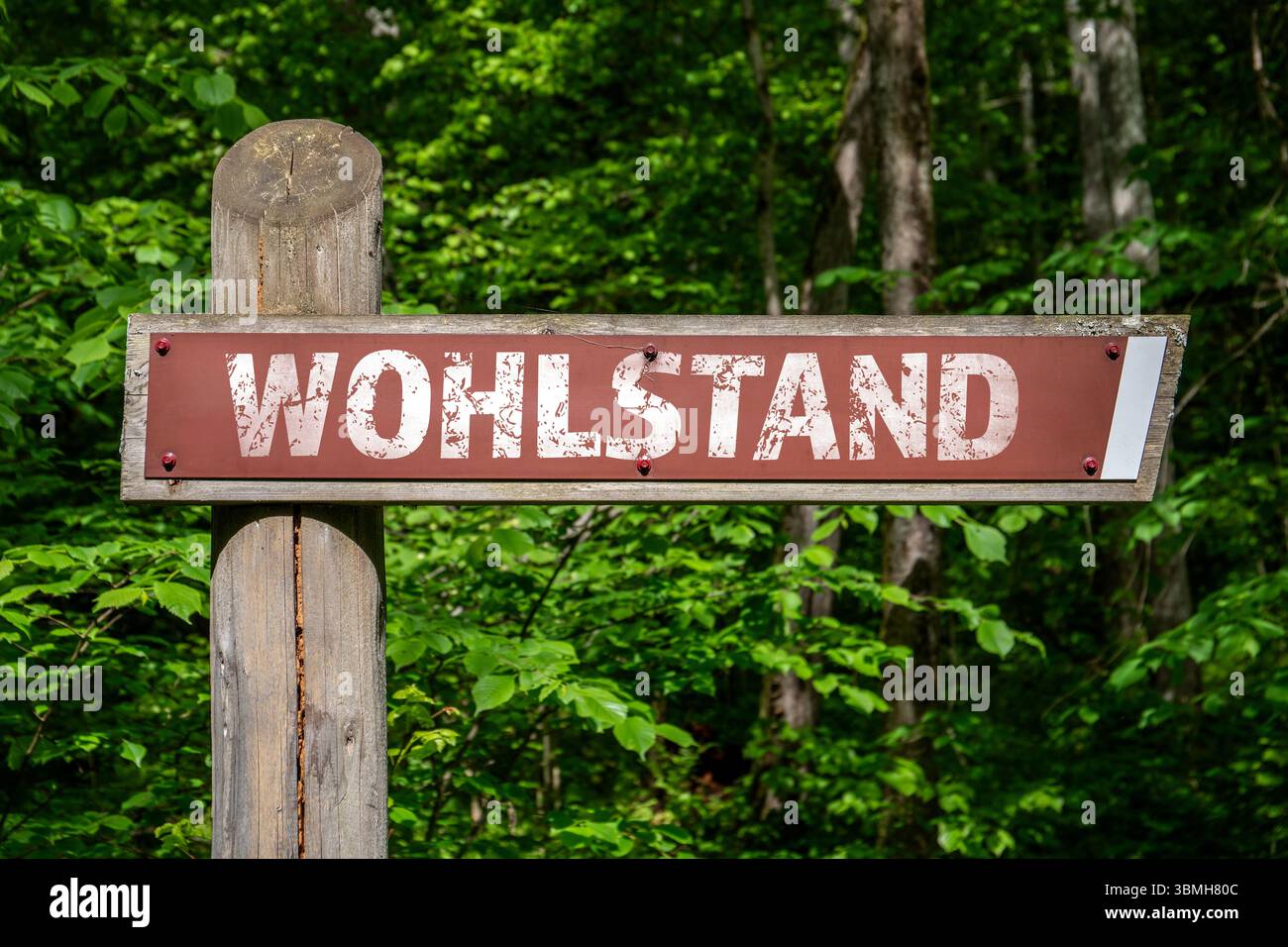 Wealth in German. Signpost in Forest Symbolizing Direction Toward Prosperity, Wealth, or Wellbeing. Stock Photo
