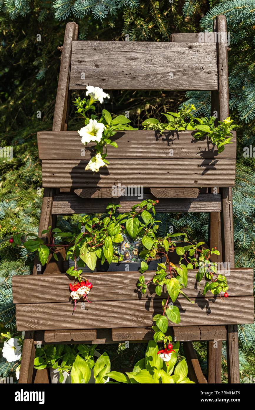 Family stand ladder hi-res stock photography and images - Alamy