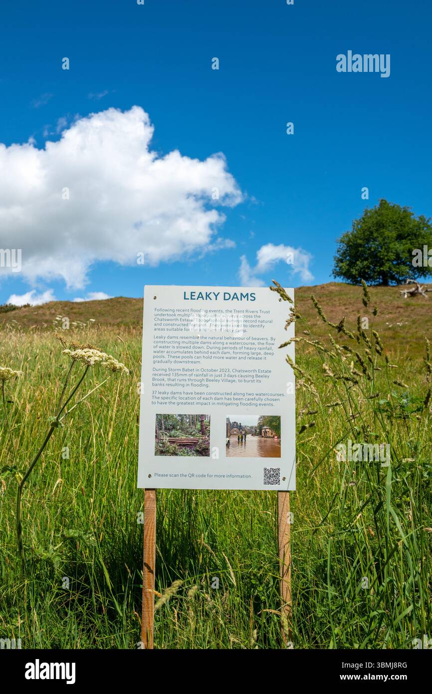 Sign or notice board explaining the purpose of a Leaky Dam which copies ...