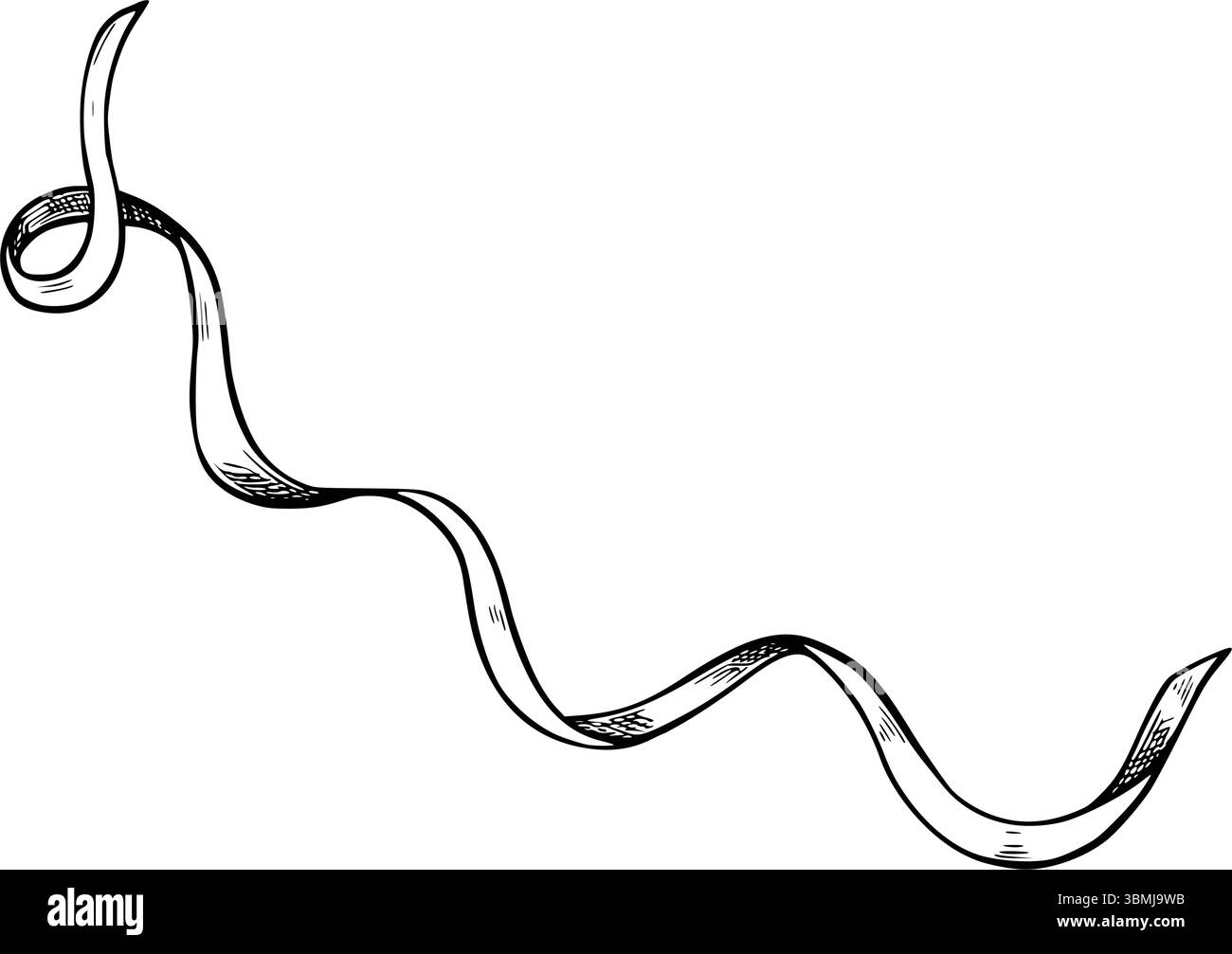 Vector illustration of loose curled Ribbon in monochrome engraving ...