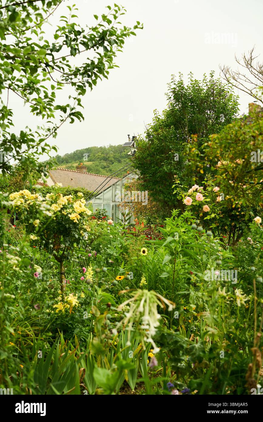 Lush greenhouse hi-res stock photography and images - Alamy