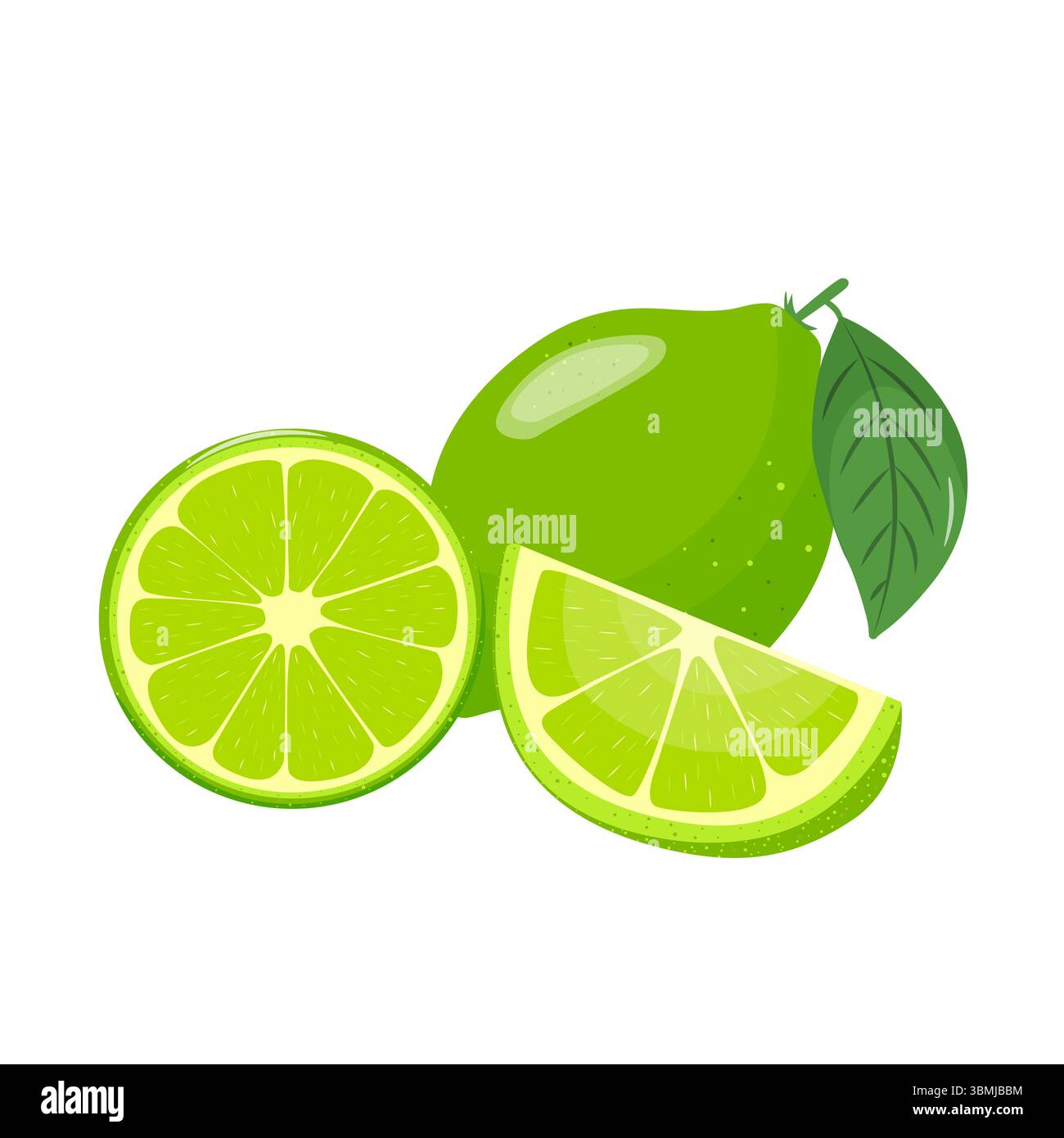 Lime icon set. Bright whole fruits, halves, slices with leaves. Healthy ...