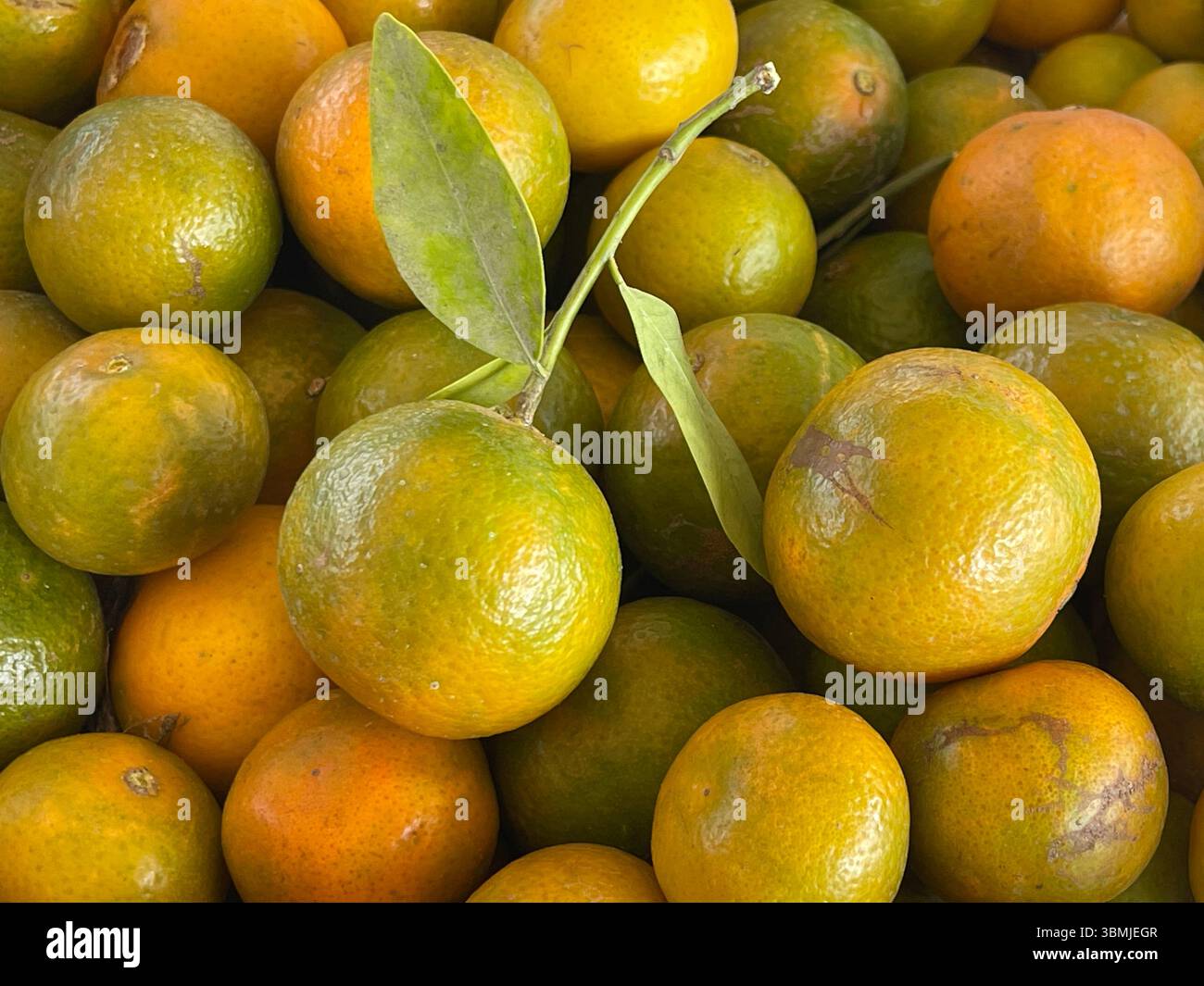Clementine fruits, clementine fruit, natural background image. Stock Photo