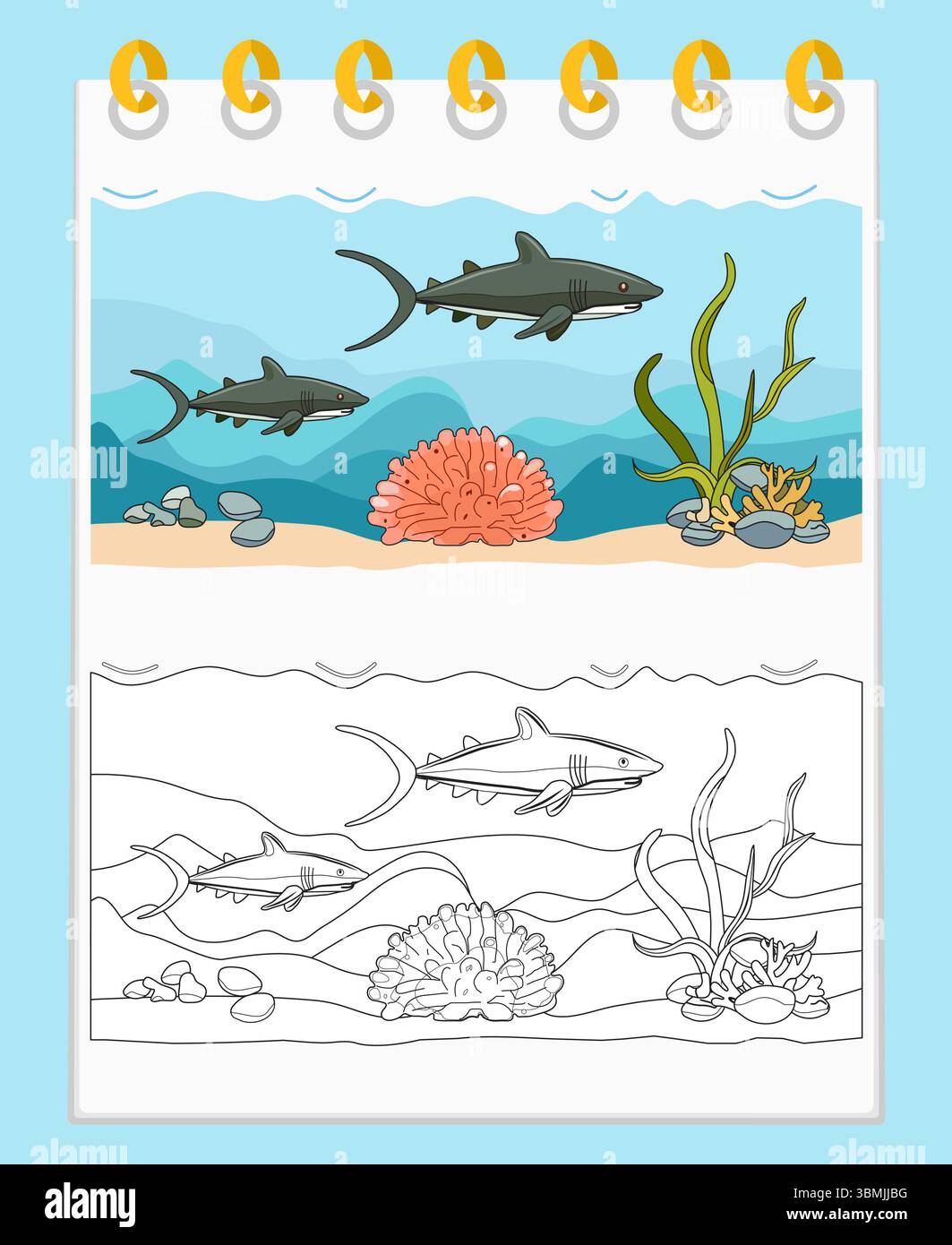 Coloring book Vector Illustration Shark Fish Seaweed Coral reef stone ...