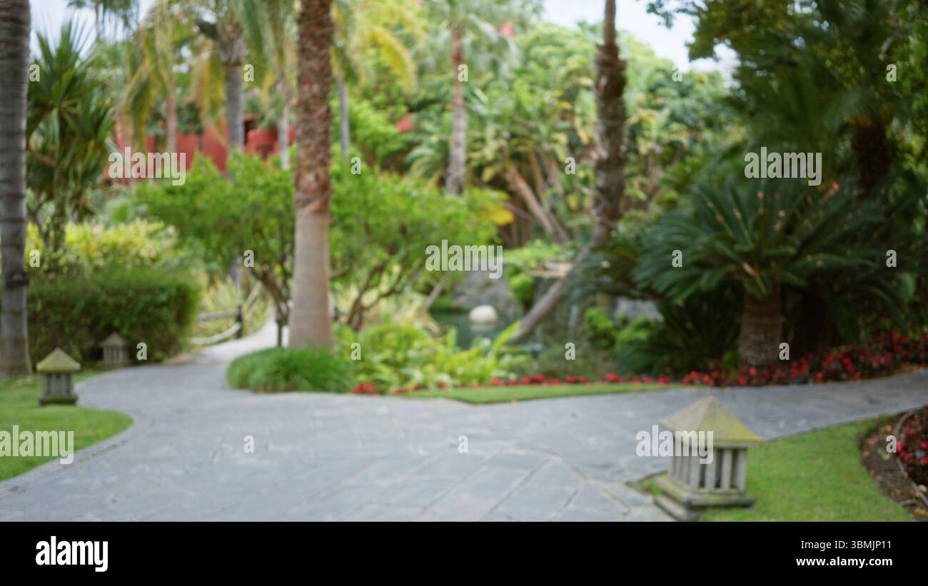 Blurred pathway in a tropical resort with palm trees and lush greenery ...