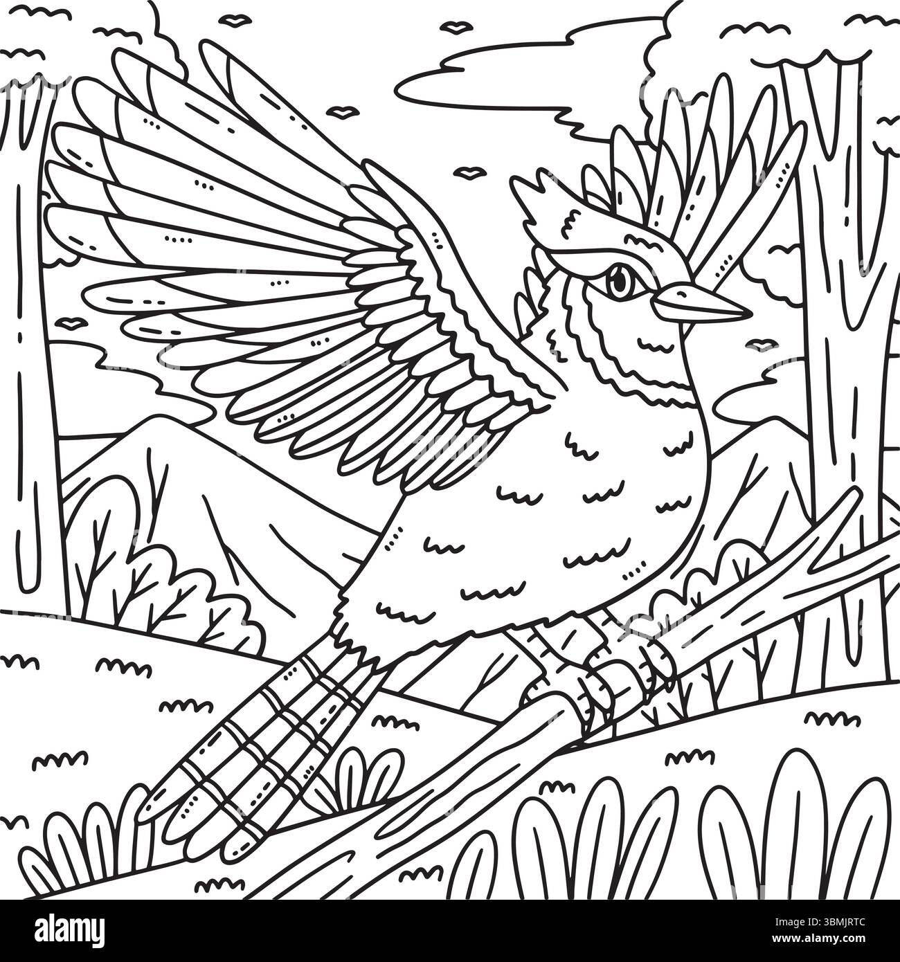 Forest Animal Jay Bird Coloring Page for Kids  Stock Vector