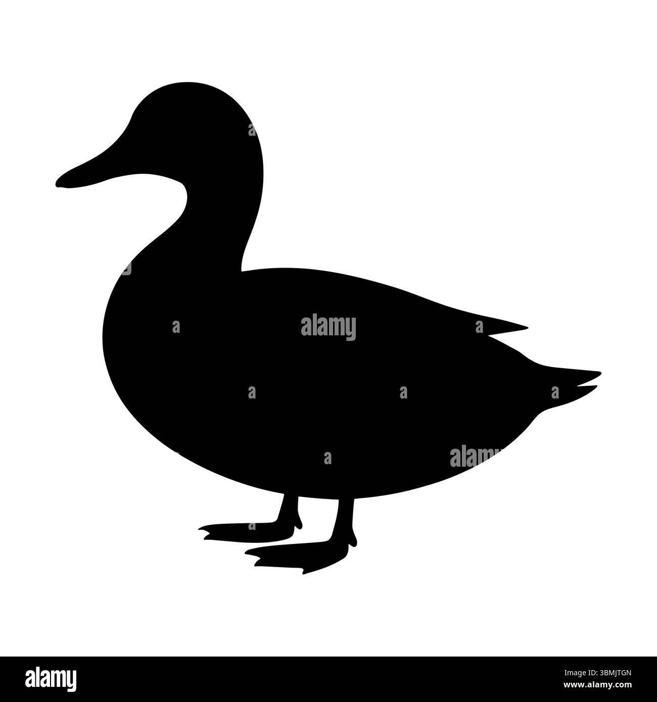 Duck silhouette standing side view Stock Vector