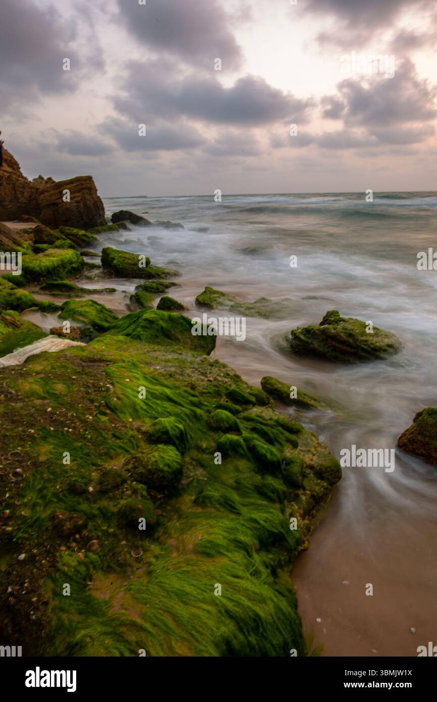 Beautiful background of green rocks on the Mediterranean beach Stock ...