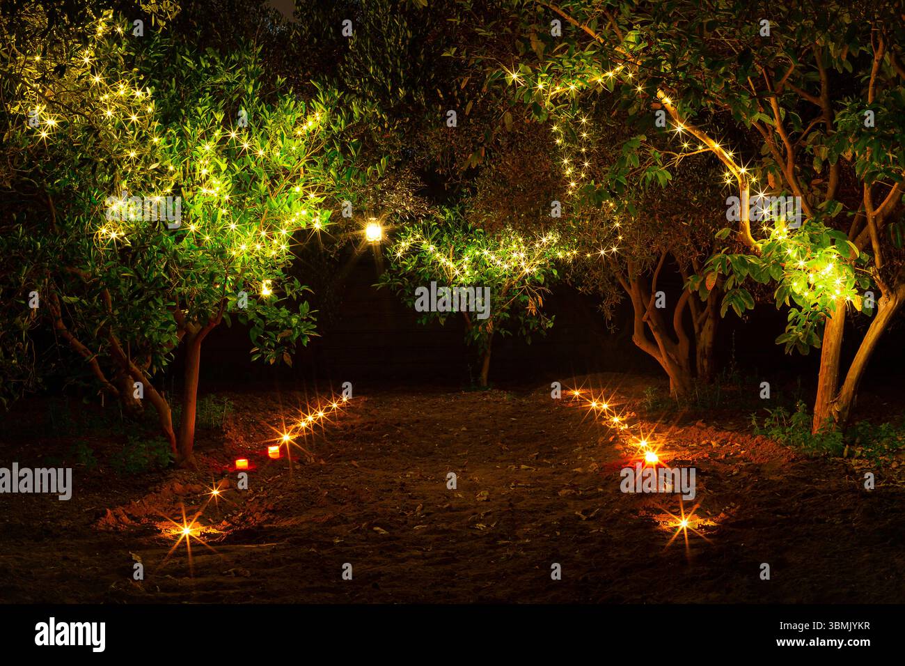 Night photo in the middle of nature showing beautiful lights among ...