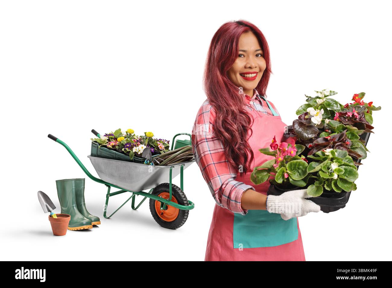 Asian female gardener with a wheelbarrow holding flower pots isolated ...