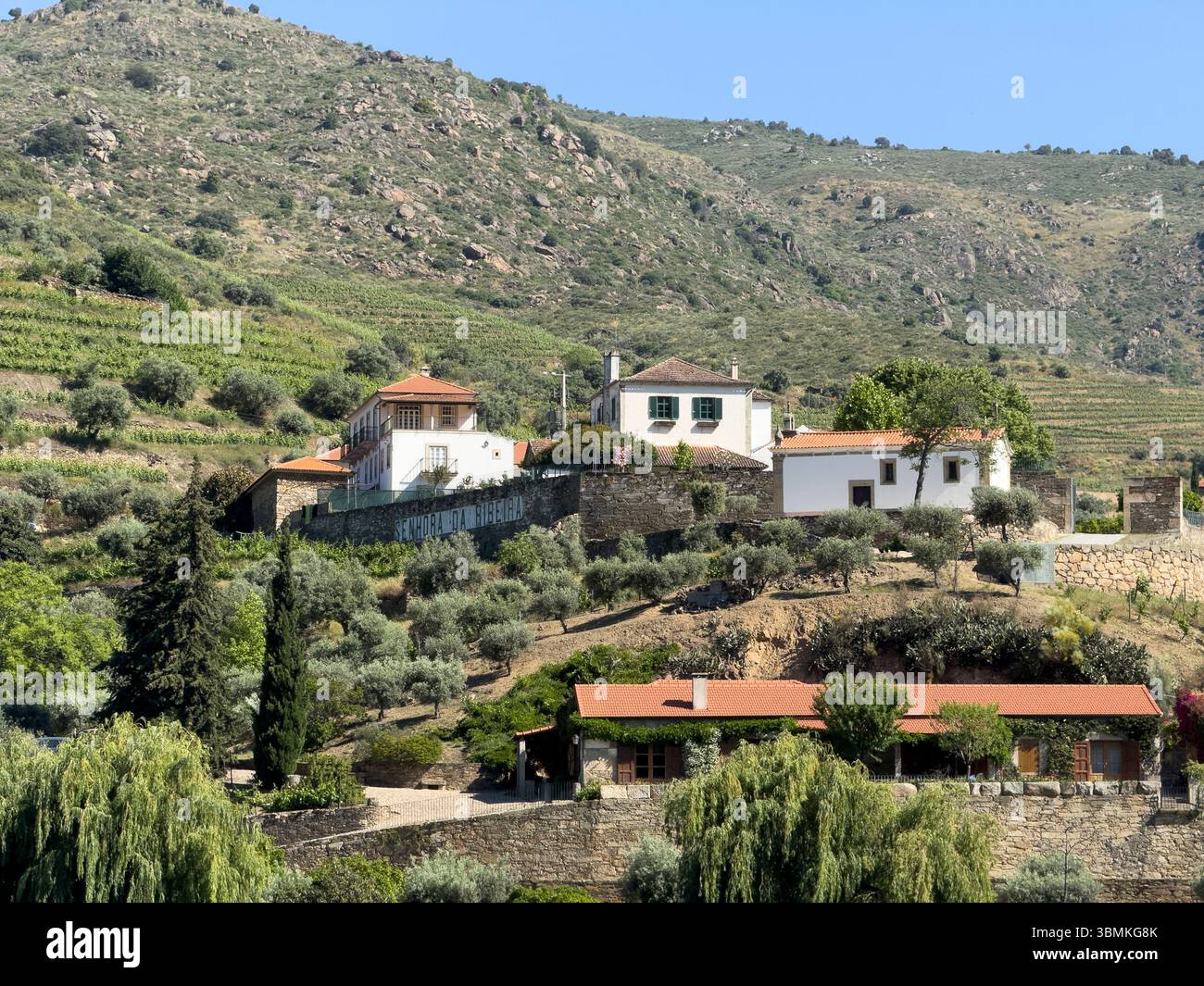 Winery estate Senhora Da Ribeira on the River Douro, Portugal - Smartphone Captured Stock Image
