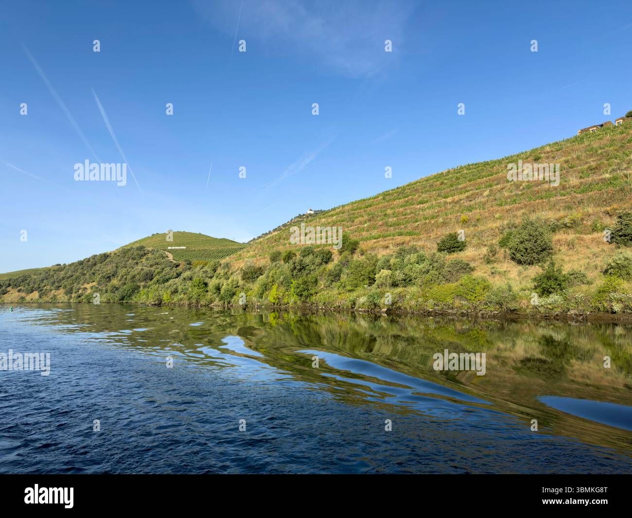 Vineyards on the hillside of the Douro River valley, Portugal - Smartphone Captured Stock Image