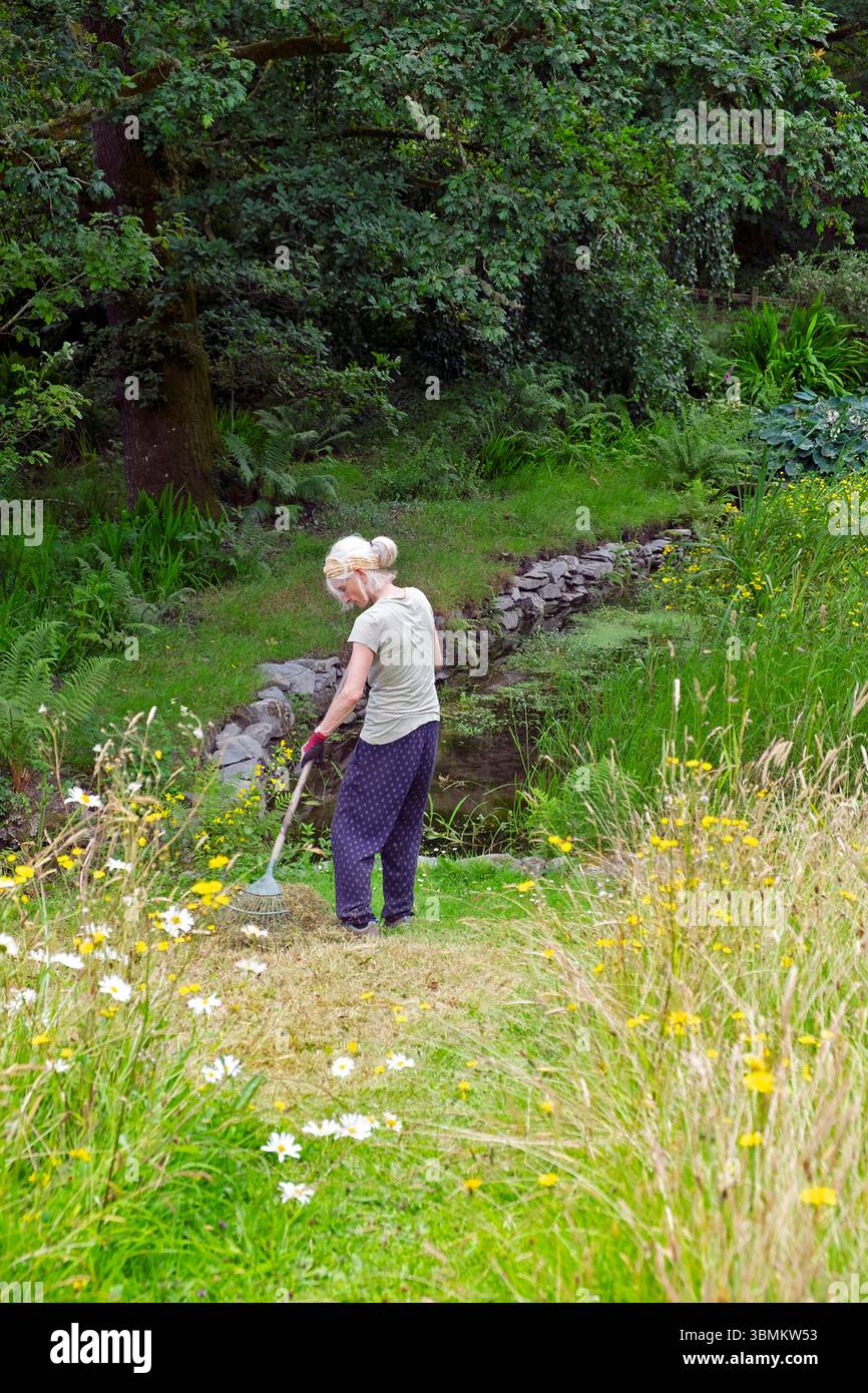 Meadow Raking Vertical view of older woman working in wildflower garden meadow ...