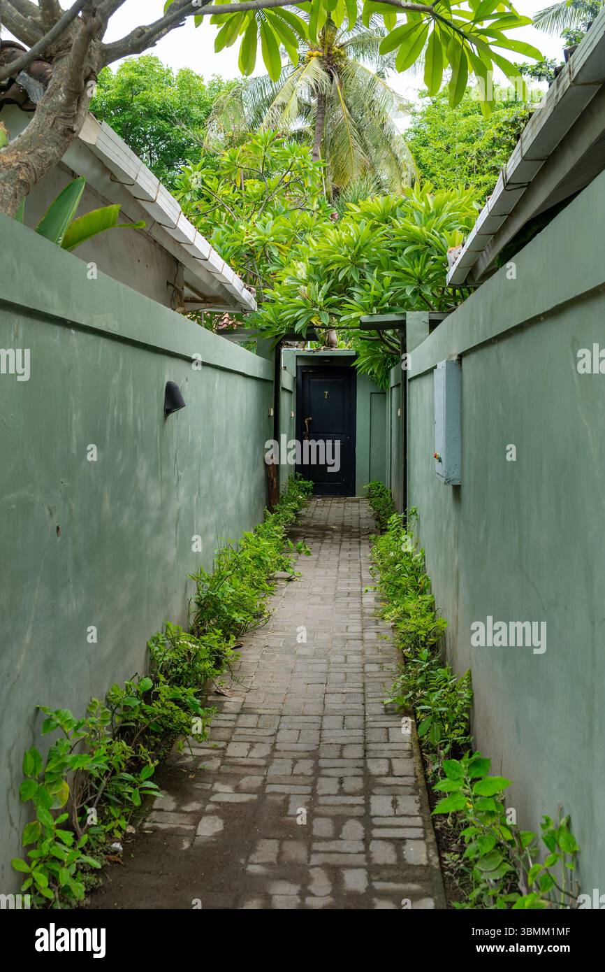 Narrow walkway with a black door and green walls. The walkway is lined ...