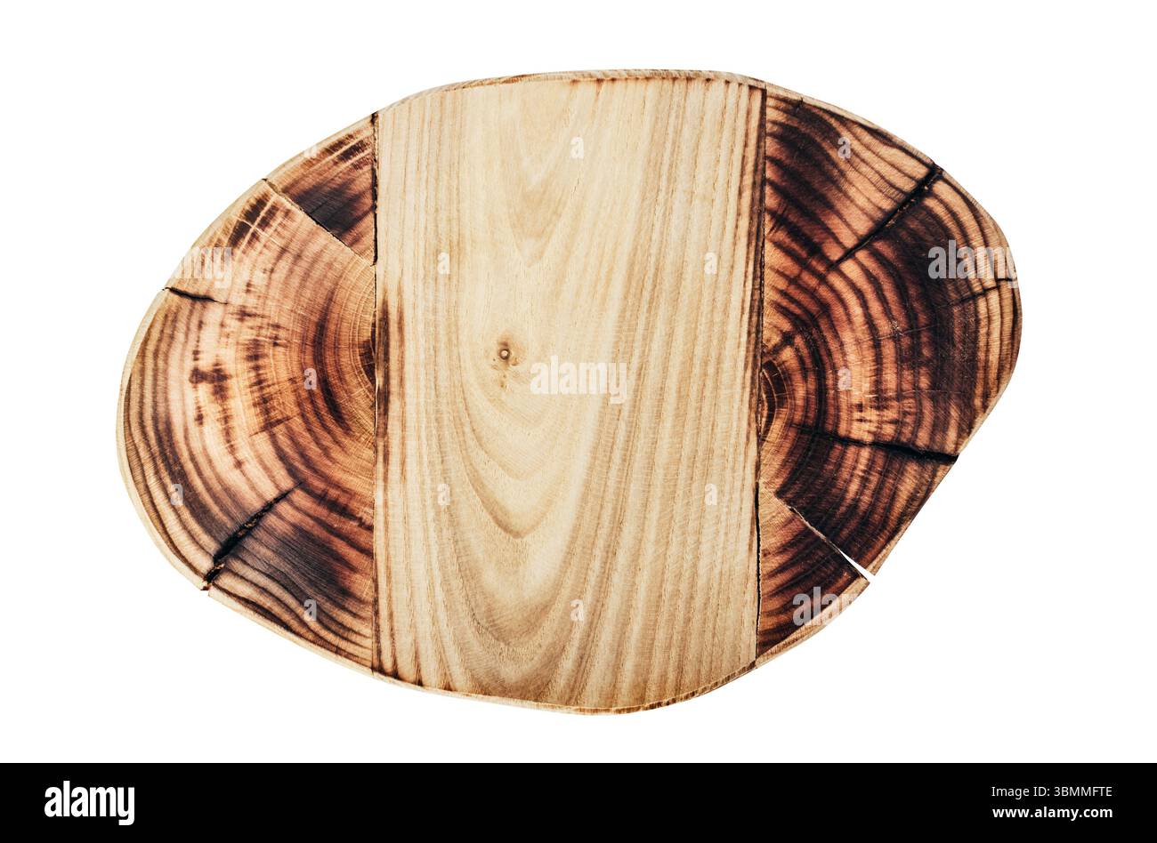 Isolated photo of decorative wooden stump with copyspace on white background. Stock Photo
