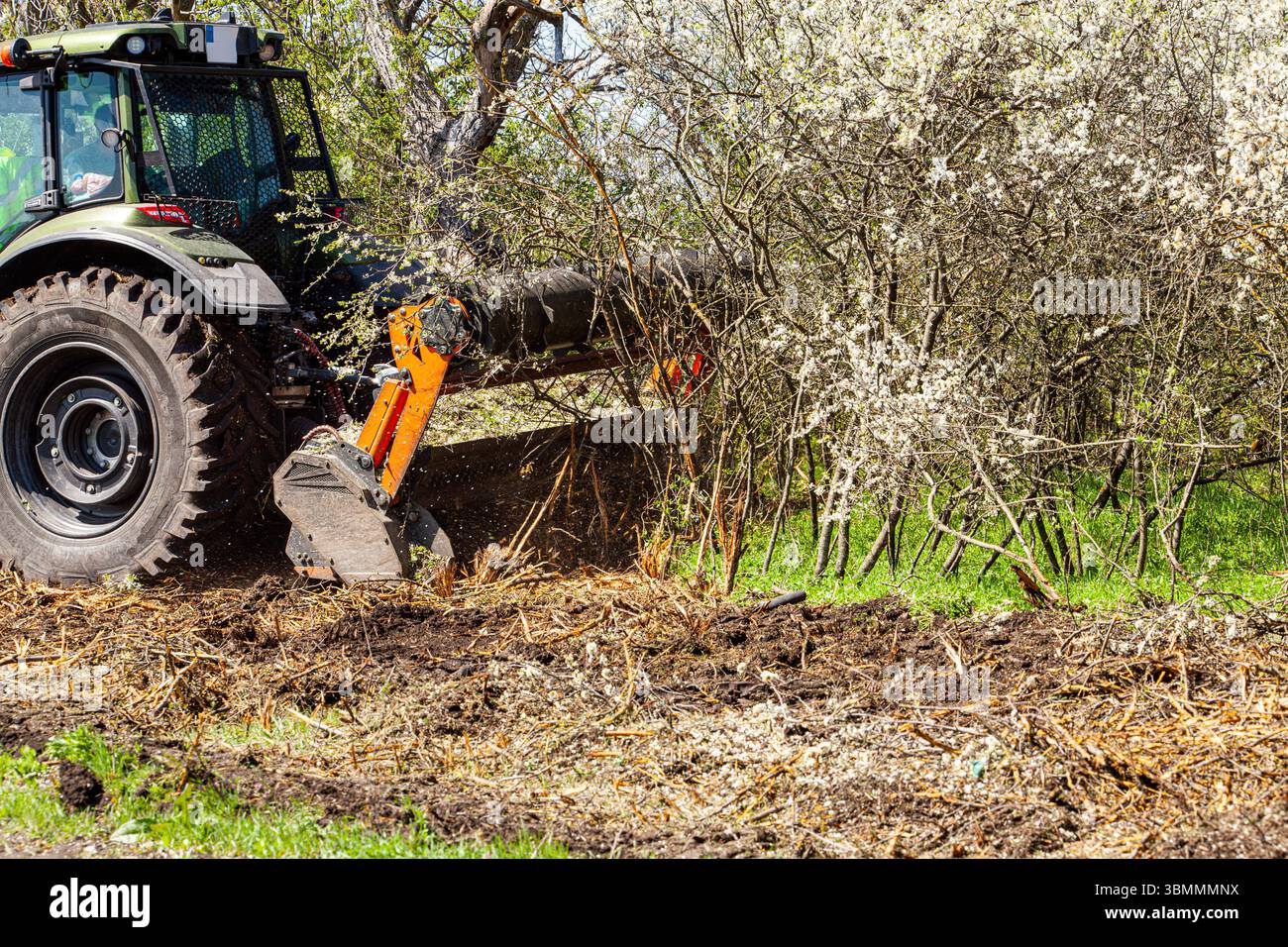Attached to excavator forestry mulcher for clearing trees and brush along roadsides. Stock Photo