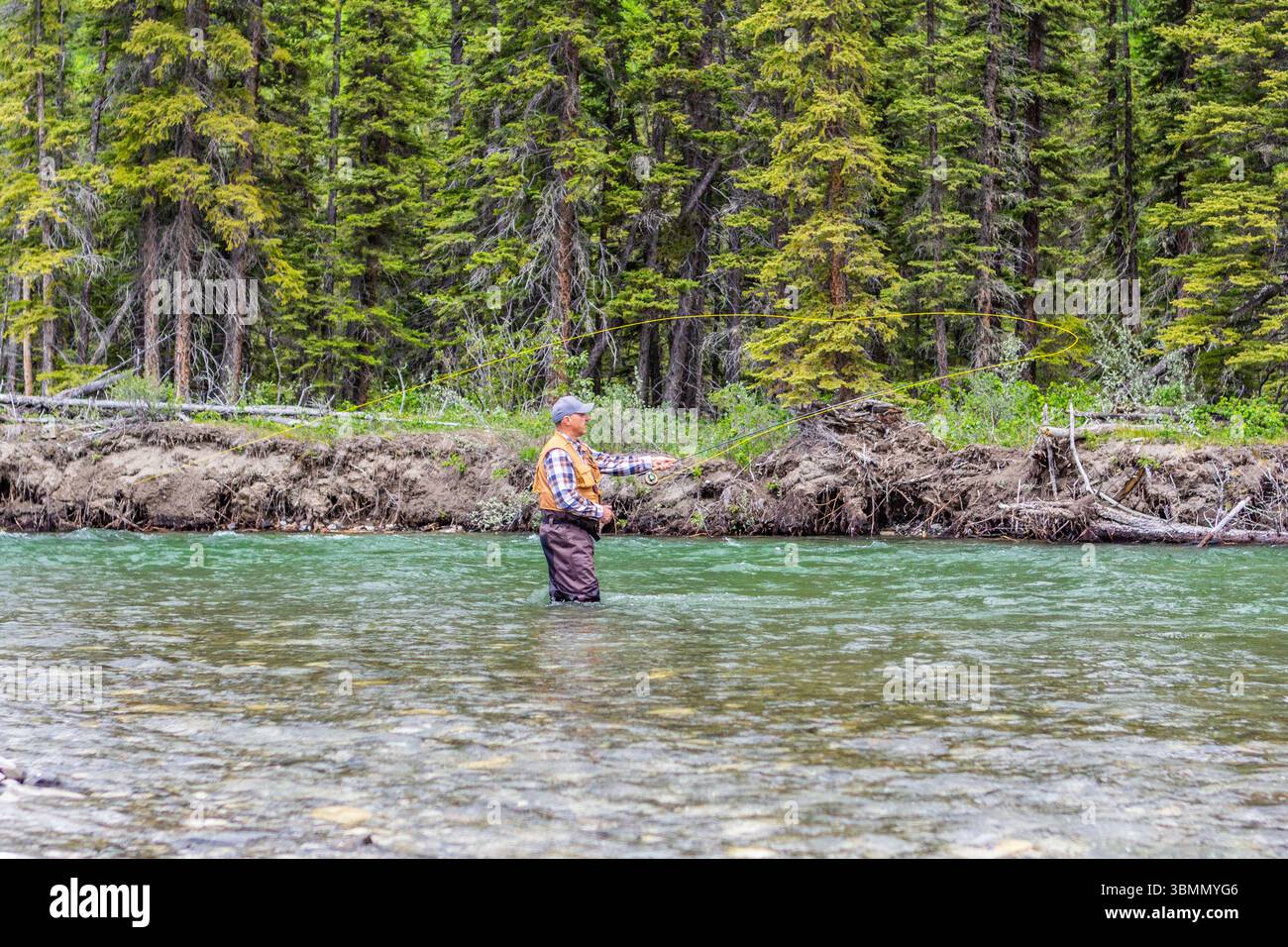 A Fly fisherman wearing a fishermans vest, plaid shirt and hipwaders fishing in the middle of a teal green stream with the forest in the background. Stock Photo