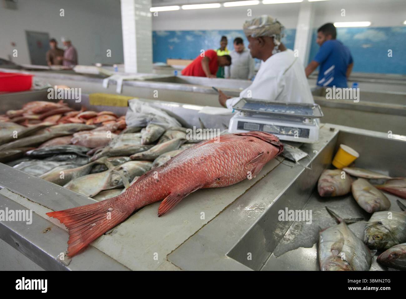 Muscat Fish Muscat, Oman, Fish Market Mutrah Stock Photo - Alamy