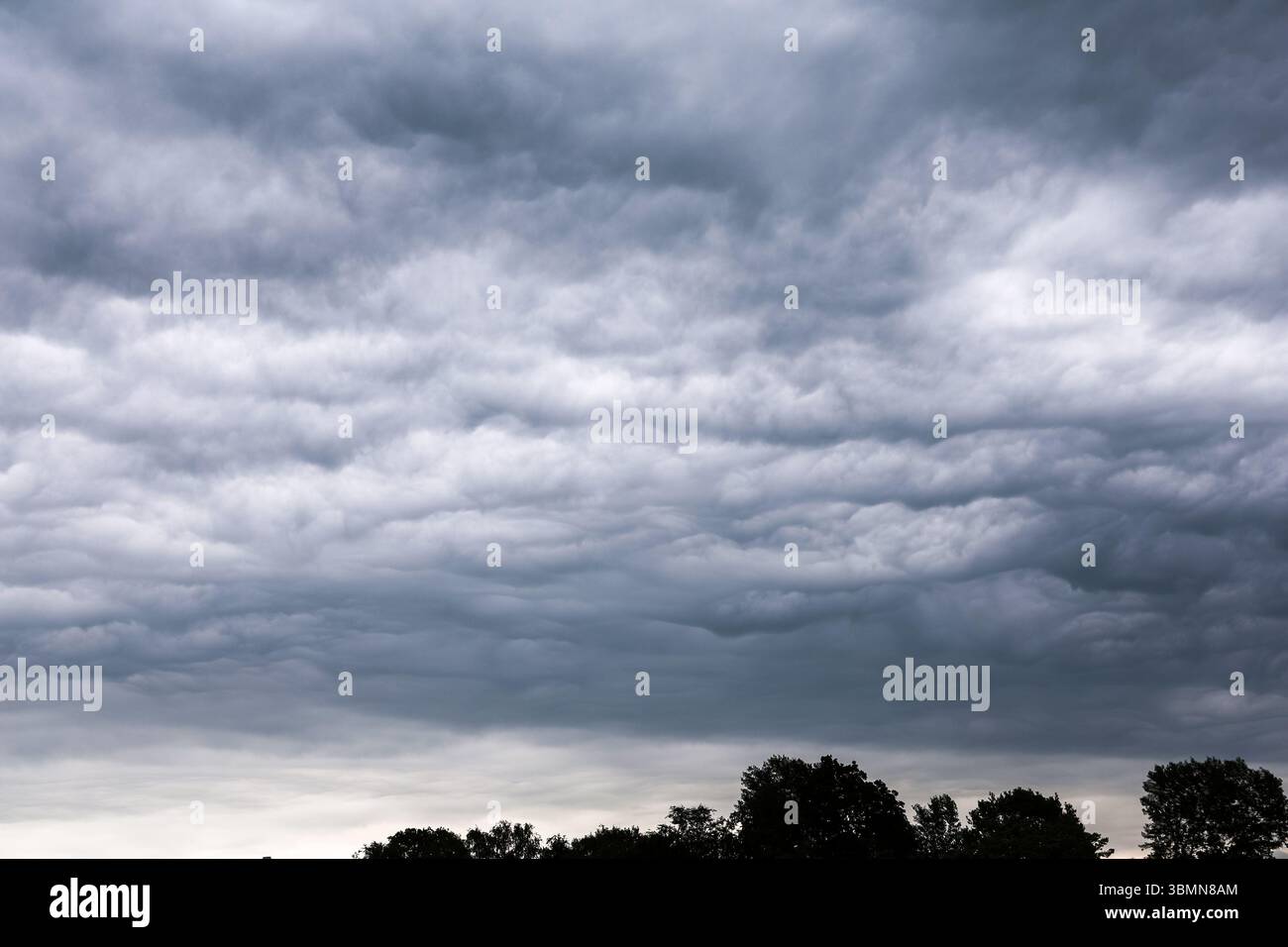 Dark and dramatic asperatus clouds filling the sky above some trees ...
