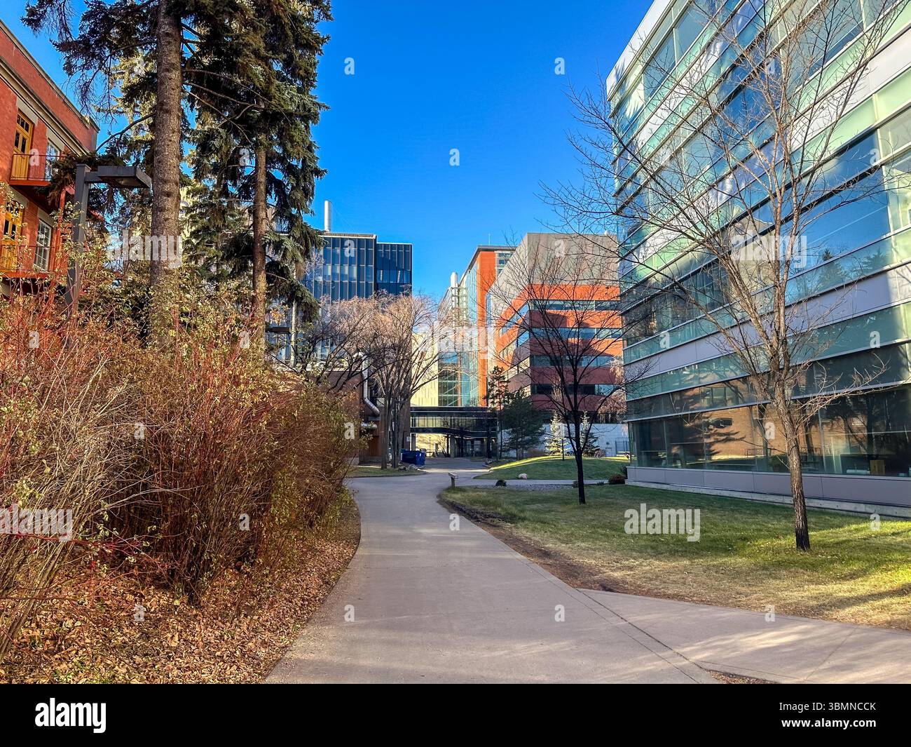 Edmonton, Alberta - November 14, 2023: Modern architecture on the ...