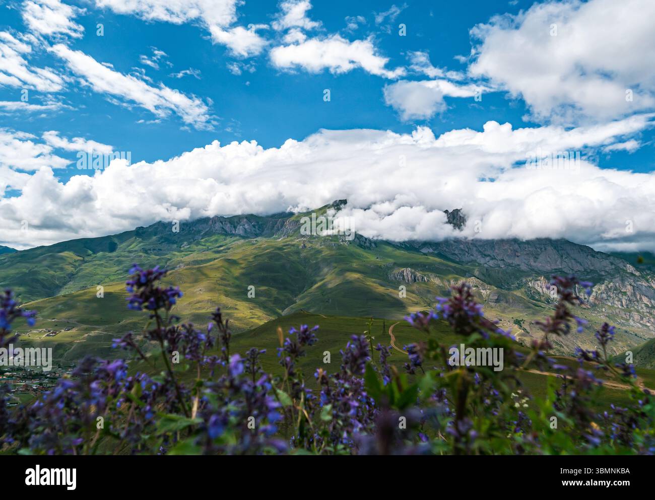 Mountains covered in flowers hi-res stock photography and images - Alamy