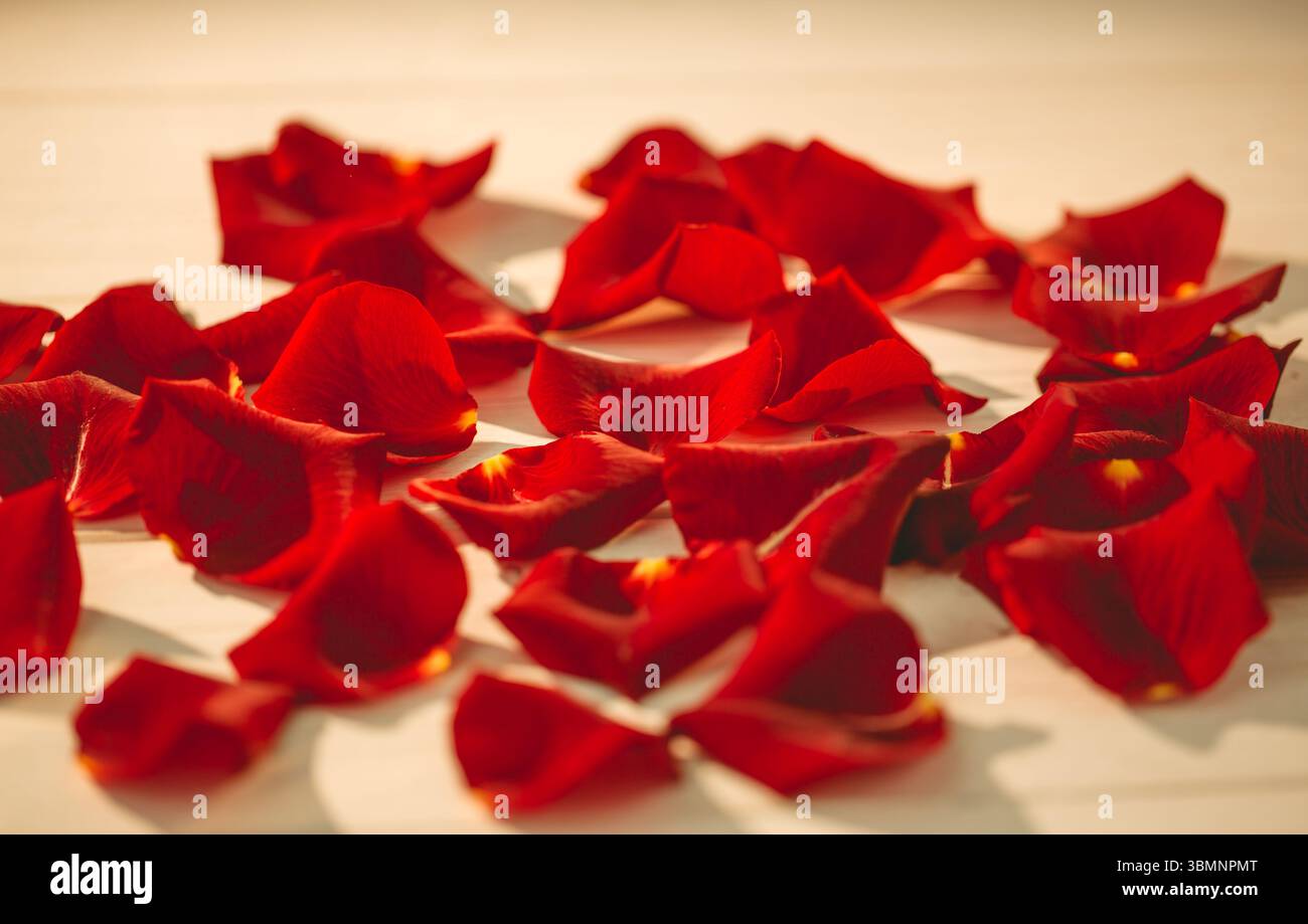 Scattered red rose petals on table Stock Photo