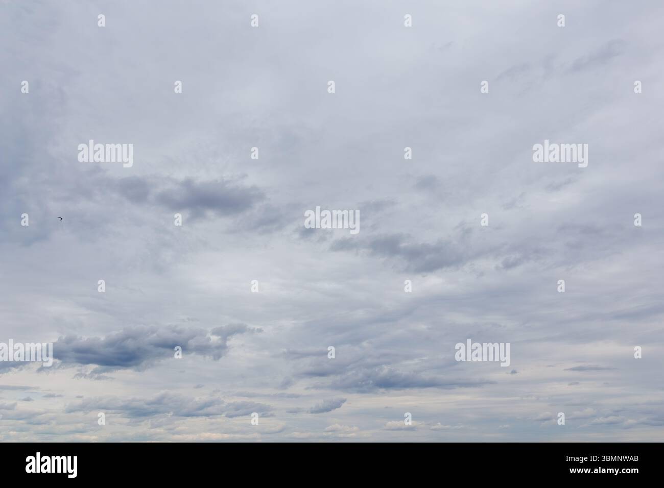 Wide view of a cloudy sky filled with layered gray clouds on an ...