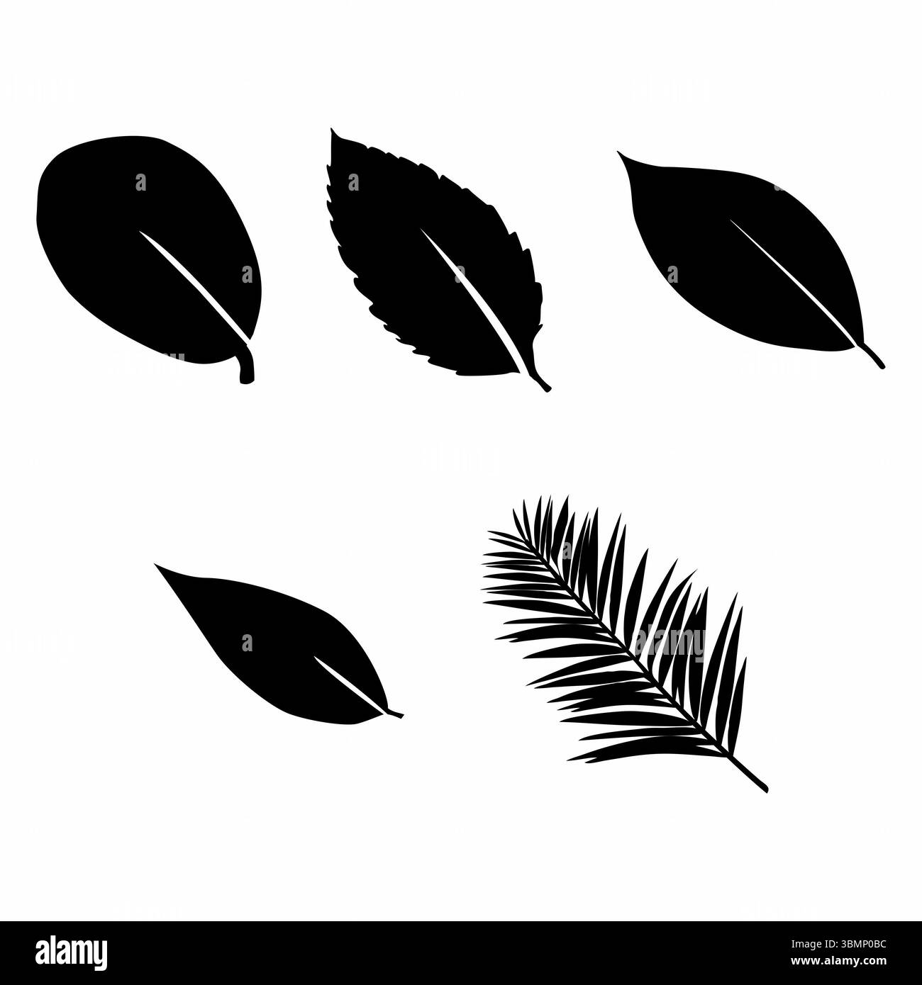 Set leaves silhouettes in Black and White Stock Photos & Images - Alamy