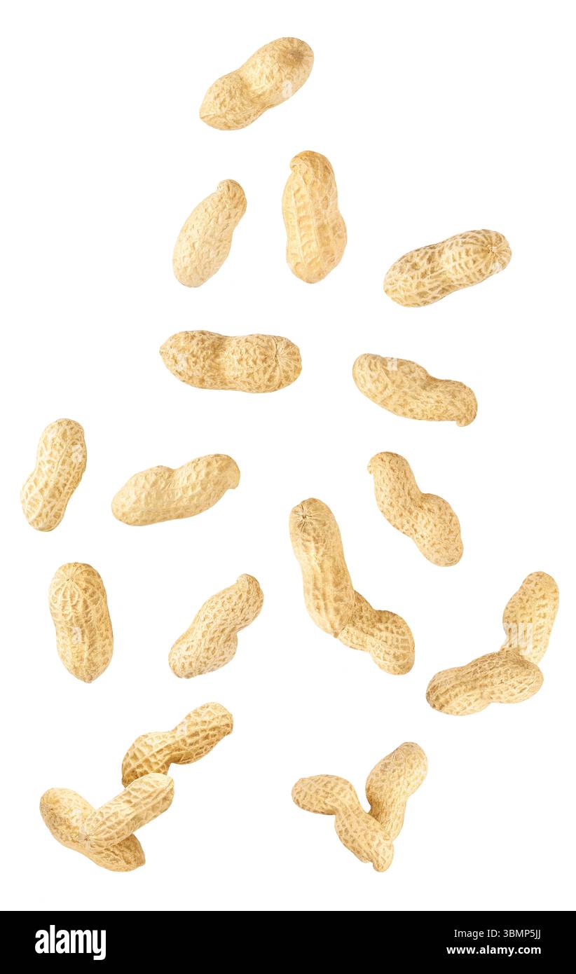Falling peanut beans isolated on white background, clipping path. Stock Photo