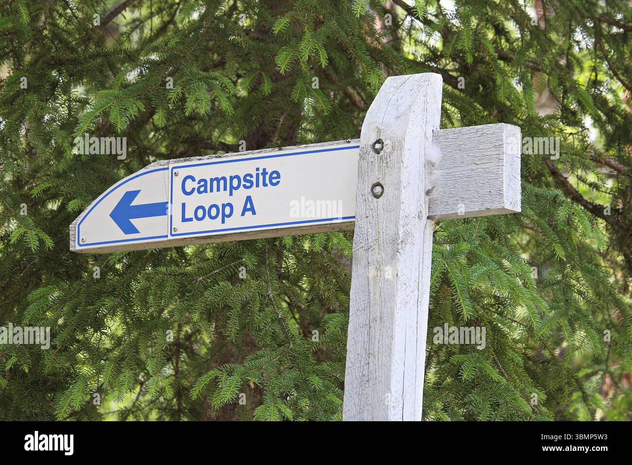 A direction sign for Loop A at a campground Stock Photo - Alamy