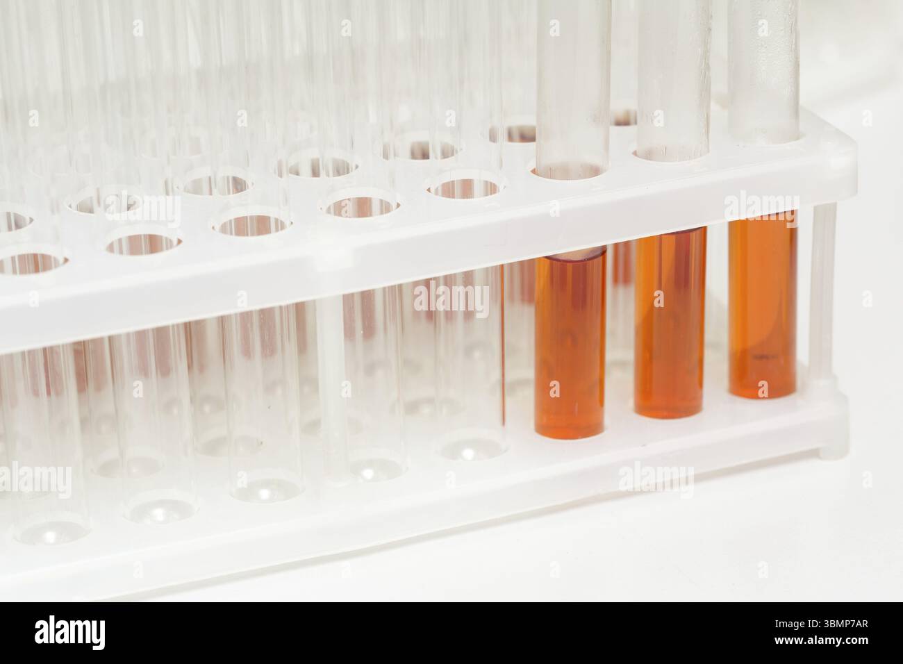 Laboratory glass test tubes filled with orange liquid for an experiment ...