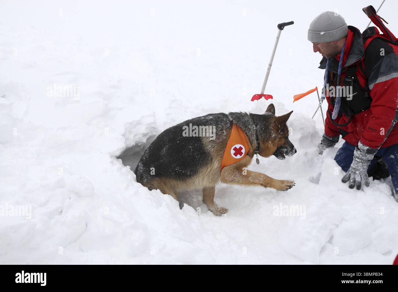 Rescuer from the Mountain Rescue Service at Bulgarian Red Cross Stock ...
