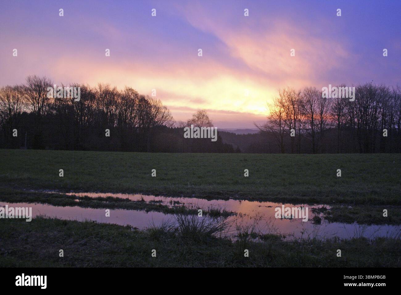 Europaeische, european, europa, europe, deutsch, deutsche, deutscher, deutsches, deutschland, europaeisch, german, germany, baum, morgengrauen, daemme Stock Photo