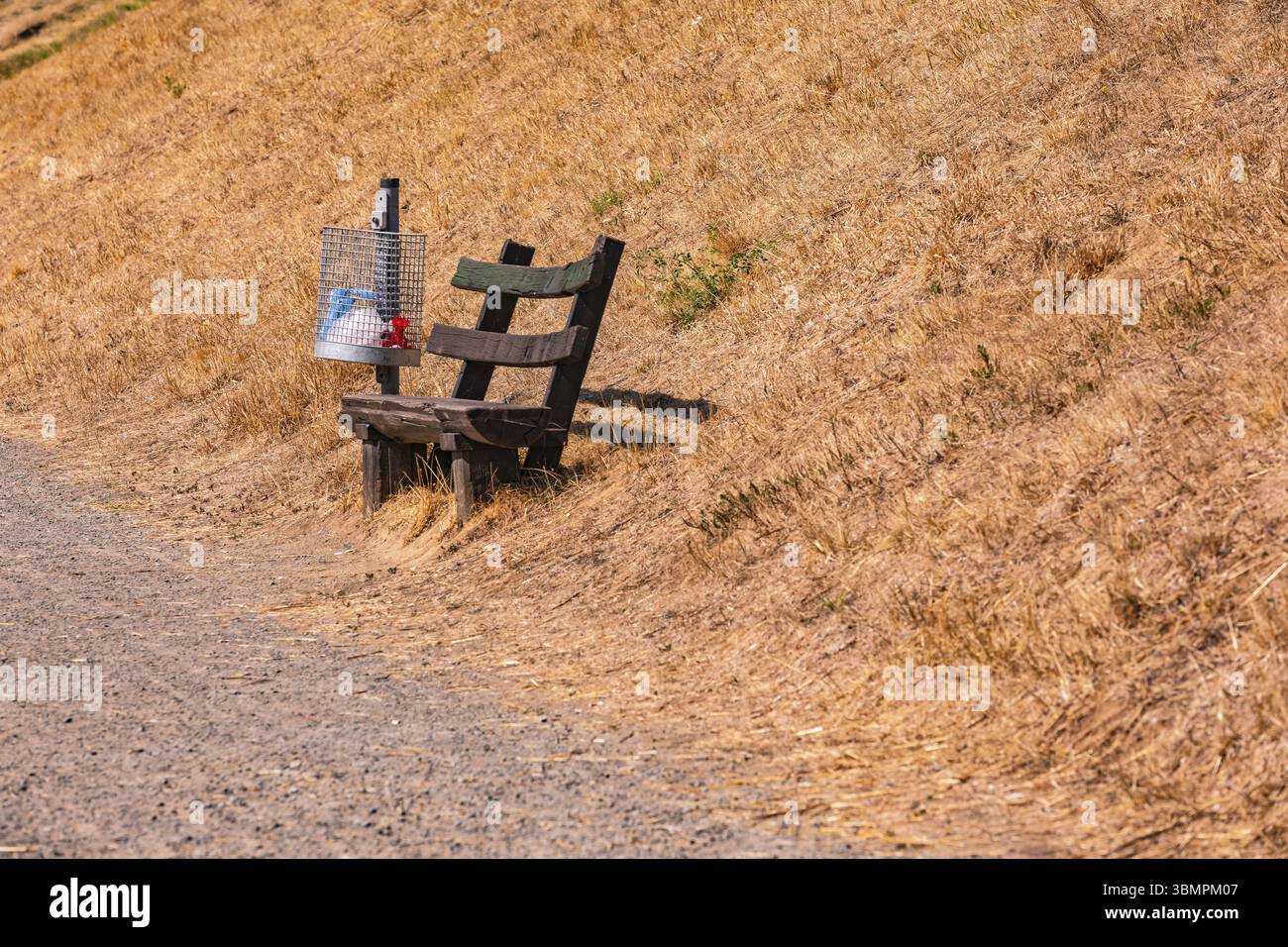 Park bench without shade on a path amidst withered grass after great ...
