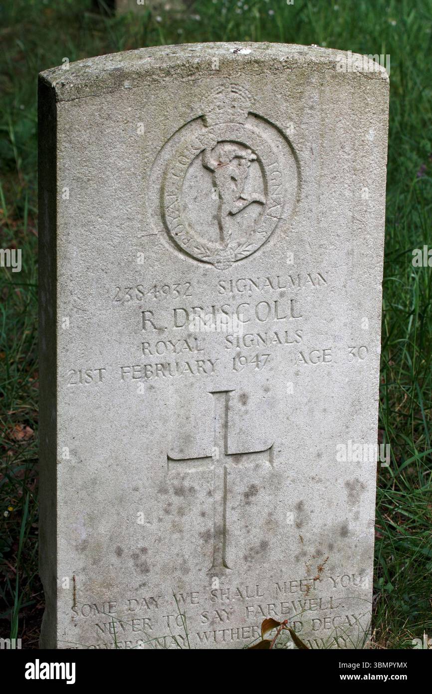 R Driscoll Royal Signals, died 21st Feb 1947 Stock Photo