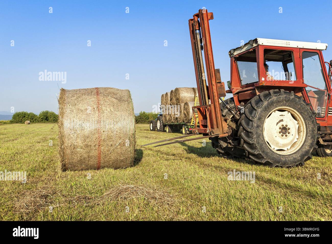 Agricultural scene. Tractor collecting hay bales in field and loading ...