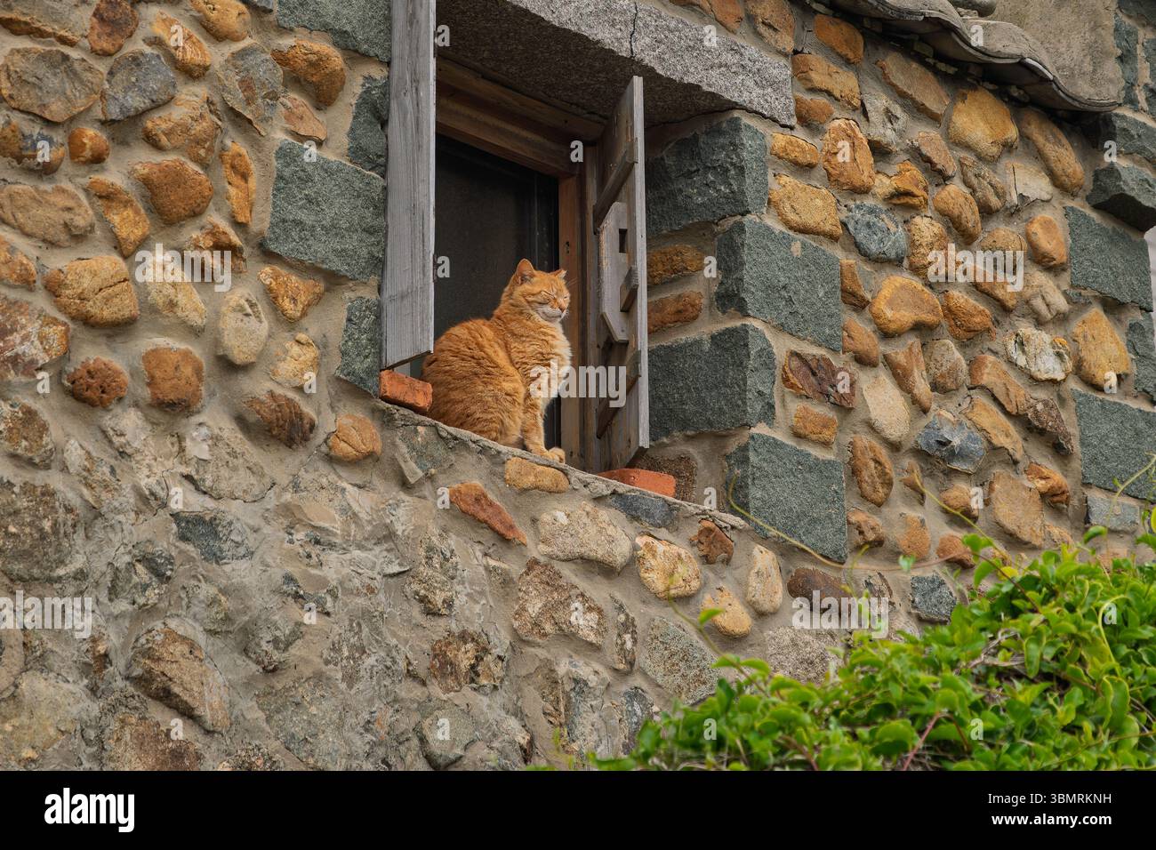 A cat is sleeping on the window of a stone house Stock Photo