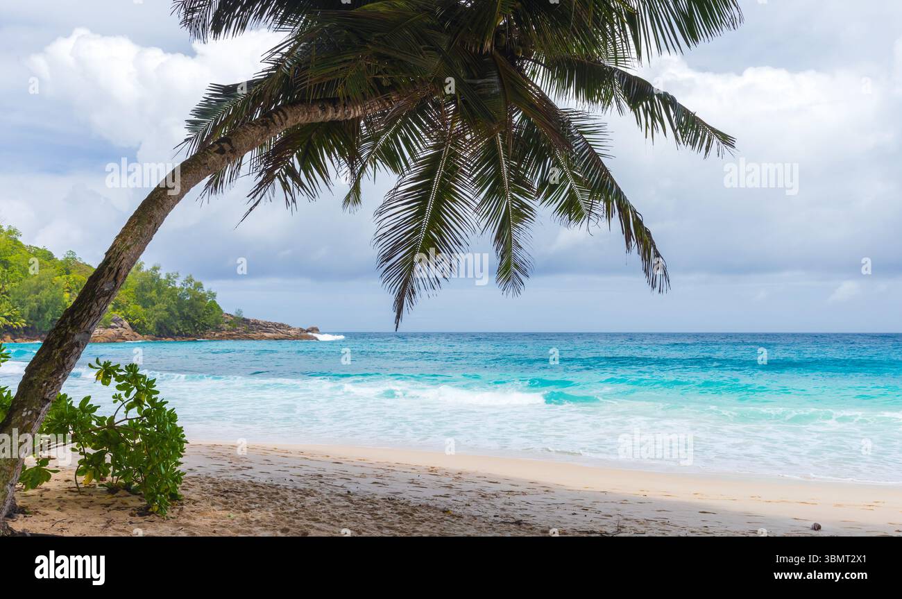 Mahe island, Seychelles. A serene tropical beach scene with a leaning palm tree, clear blue waters, and lush vegetation, evoking a sense of relaxation Stock Photo