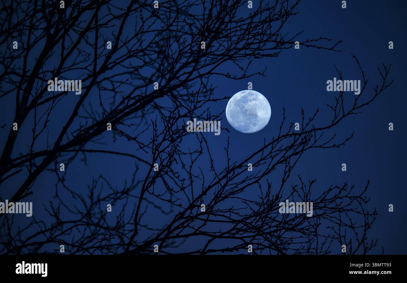 Full moon during Blue hour Stock Photo