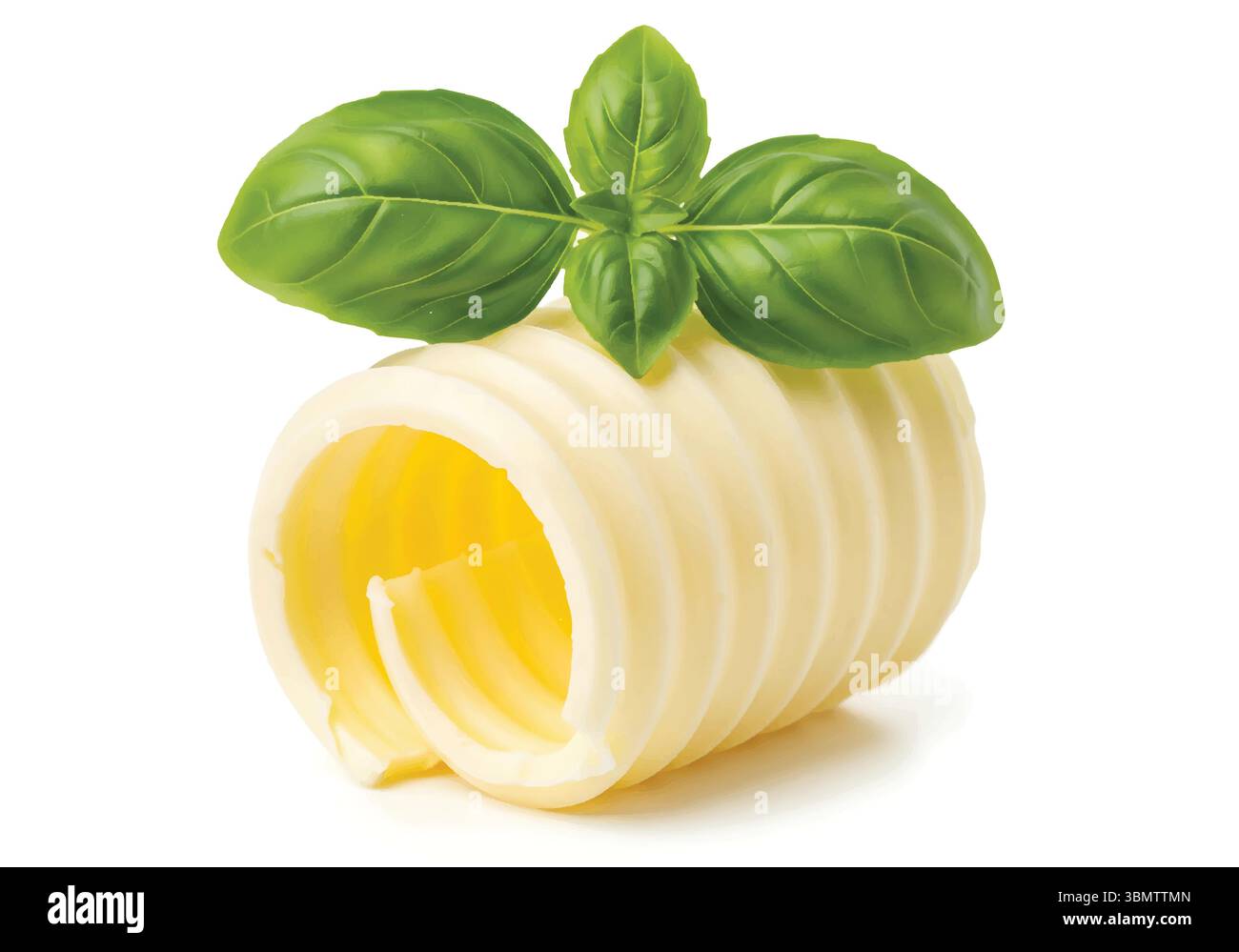 Butter Curls or Rolls with Fresh Basil Leaves Isolated on White Background Stock Vector