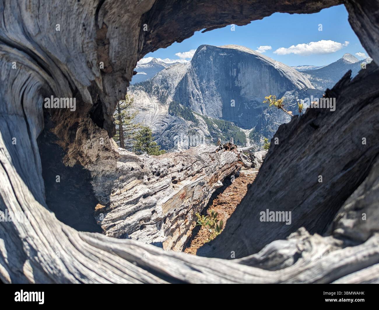 Half Dome from North Dome - Smartphone Captured Stock Image
