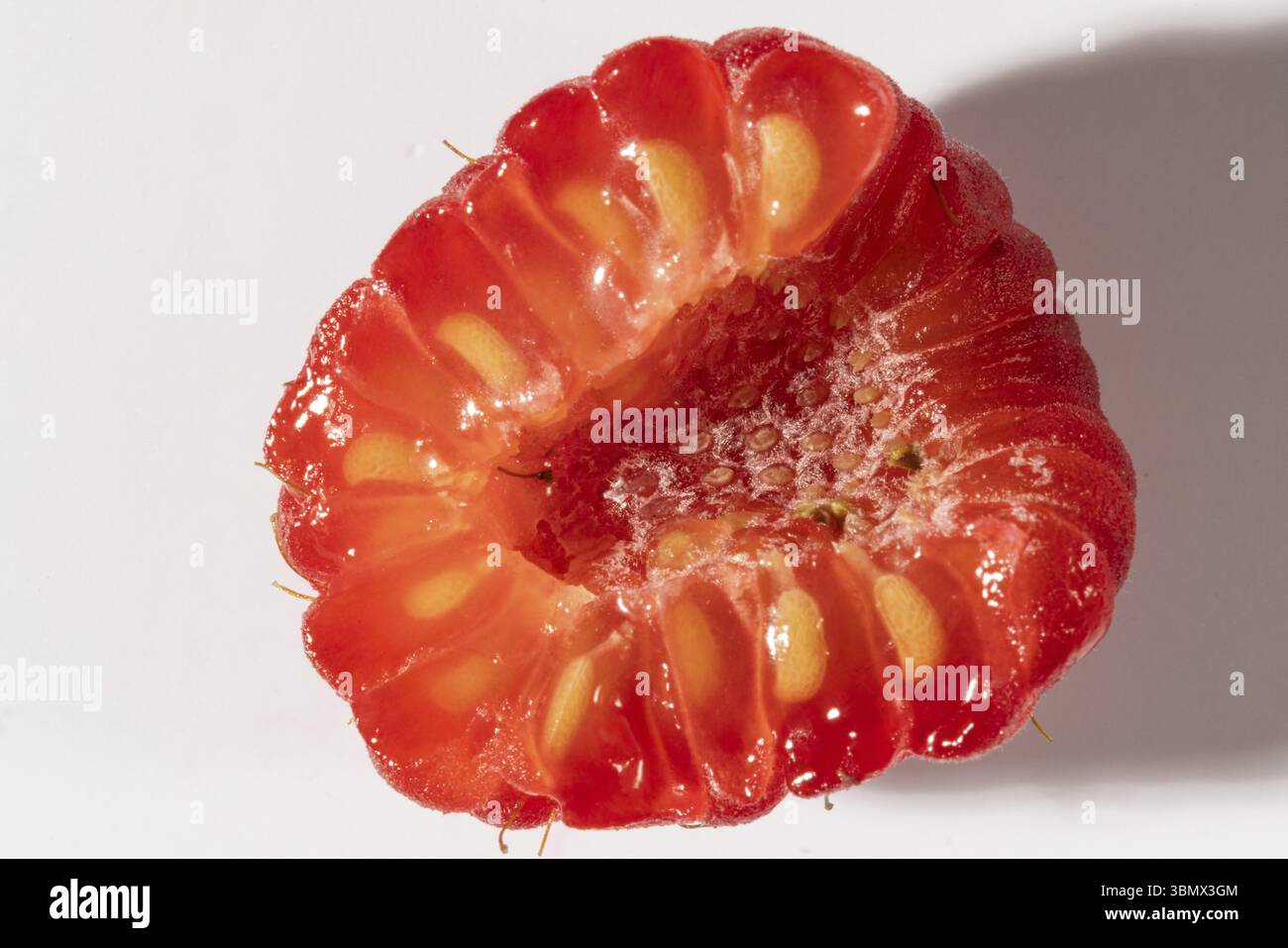 Peeled Raspberry Sliced raspberry with visible seeds and juicy texture, macro image ...