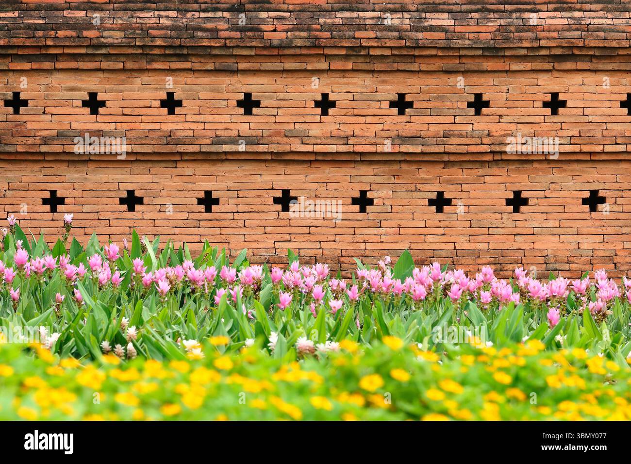 Historical flora pattern hi-res stock photography and images - Alamy