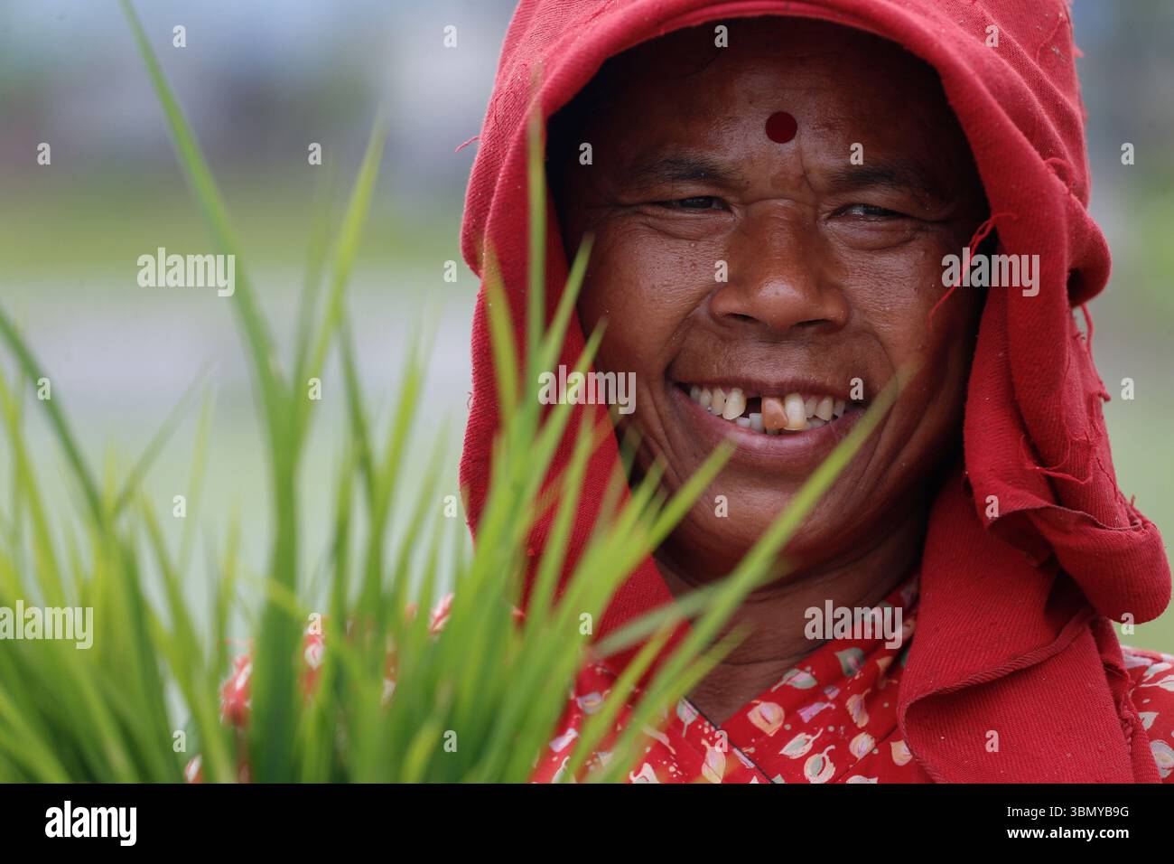 On June 29, 2025, in Lalitpur, Nepal. A women prepares before the rice ...